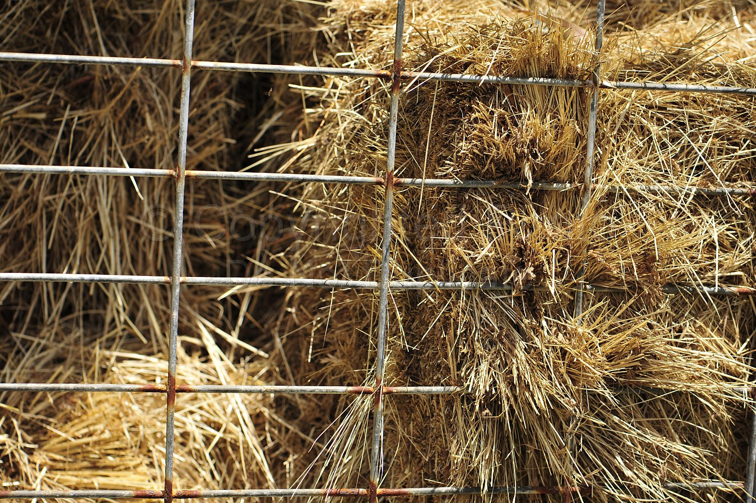 Hay bales
