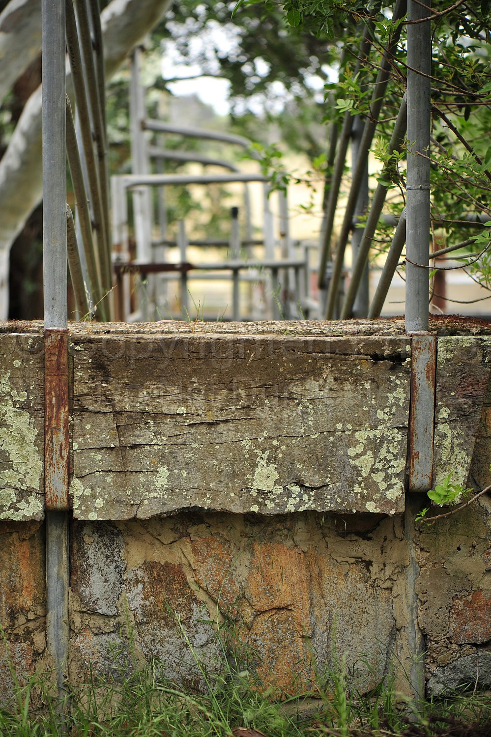 Vineyard wall
