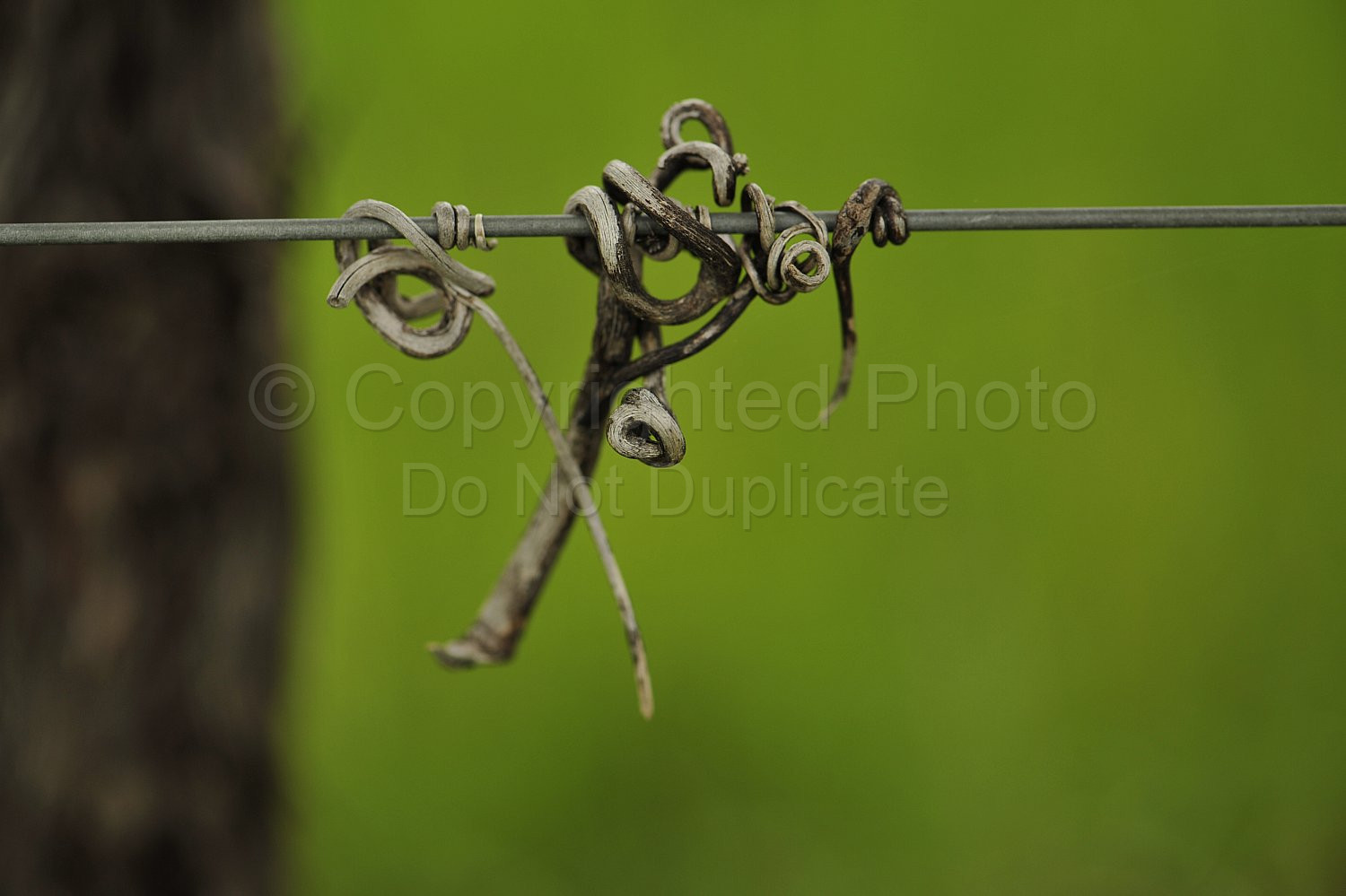 vineyard wire