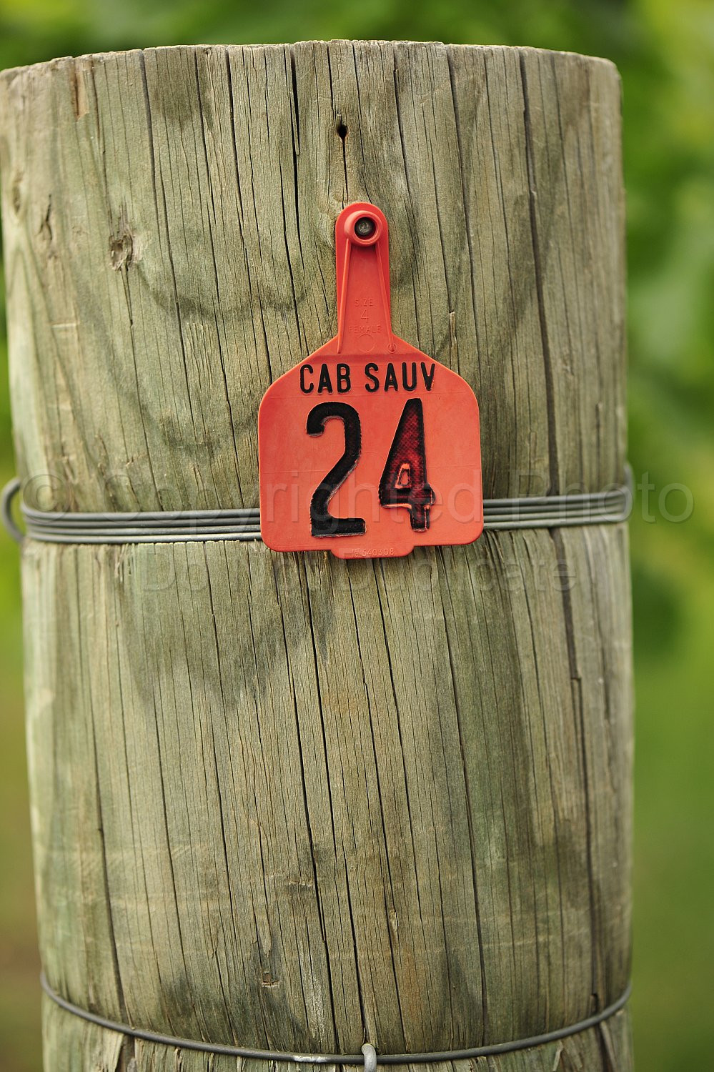 vineyard post