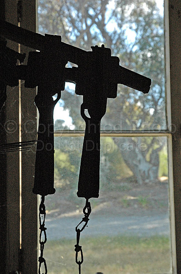 Rabbit Traps in Window