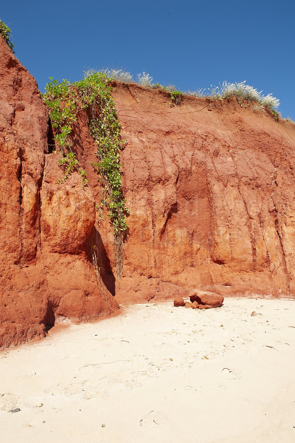 James Price Point