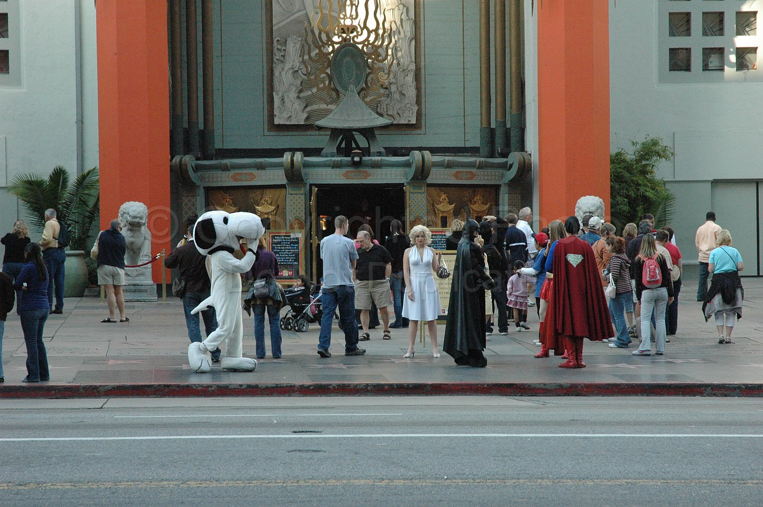 Hollywood USA