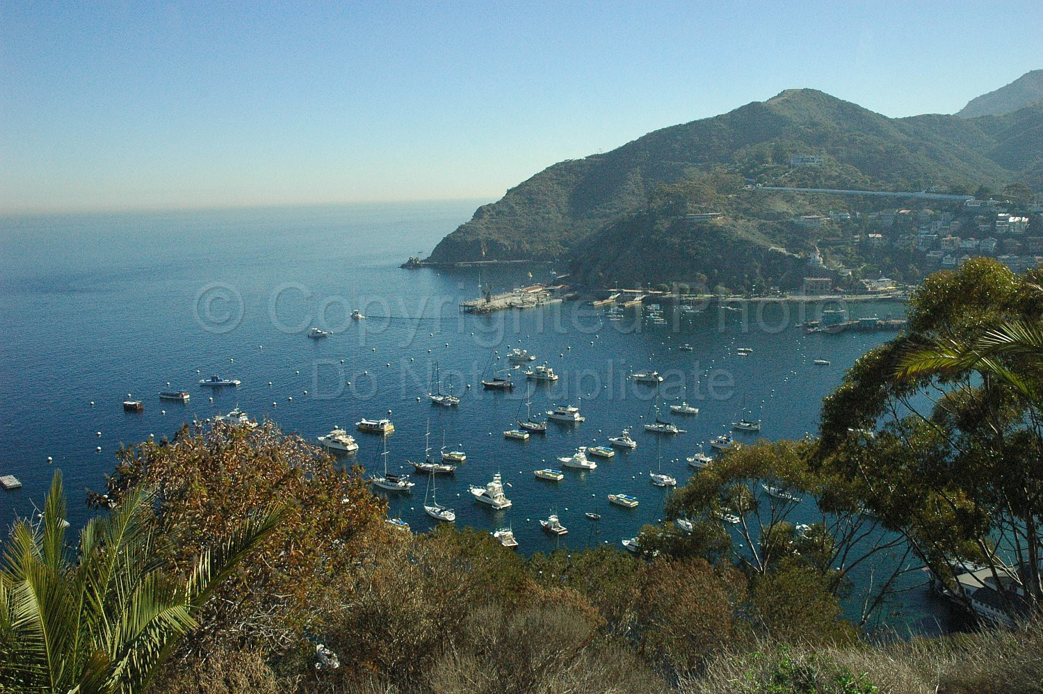Catalina Island