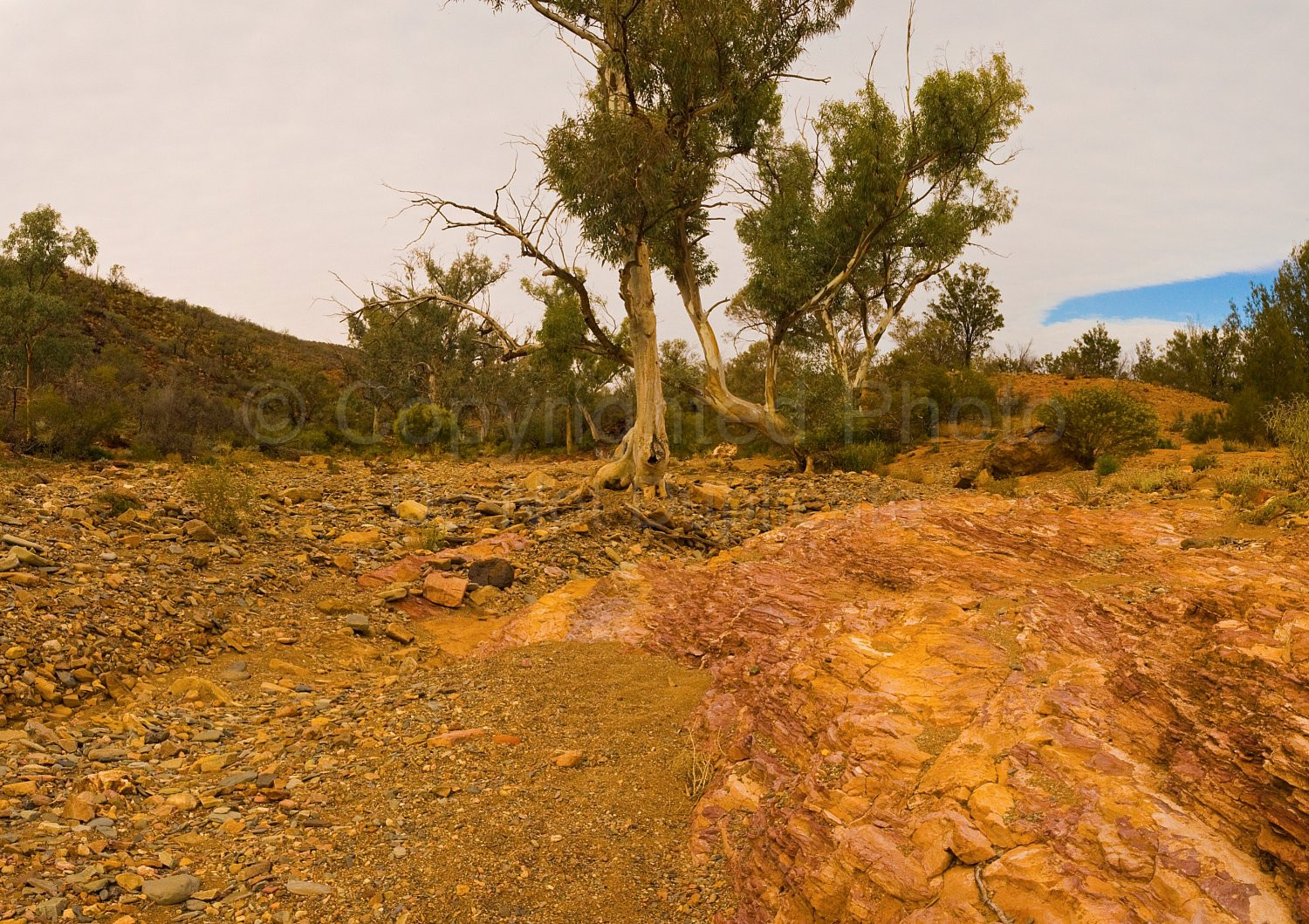 Flinders Ranges