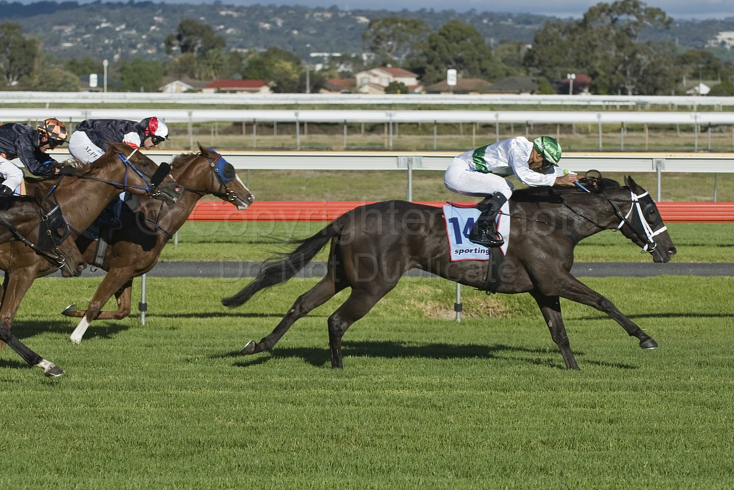 Morphettville Races