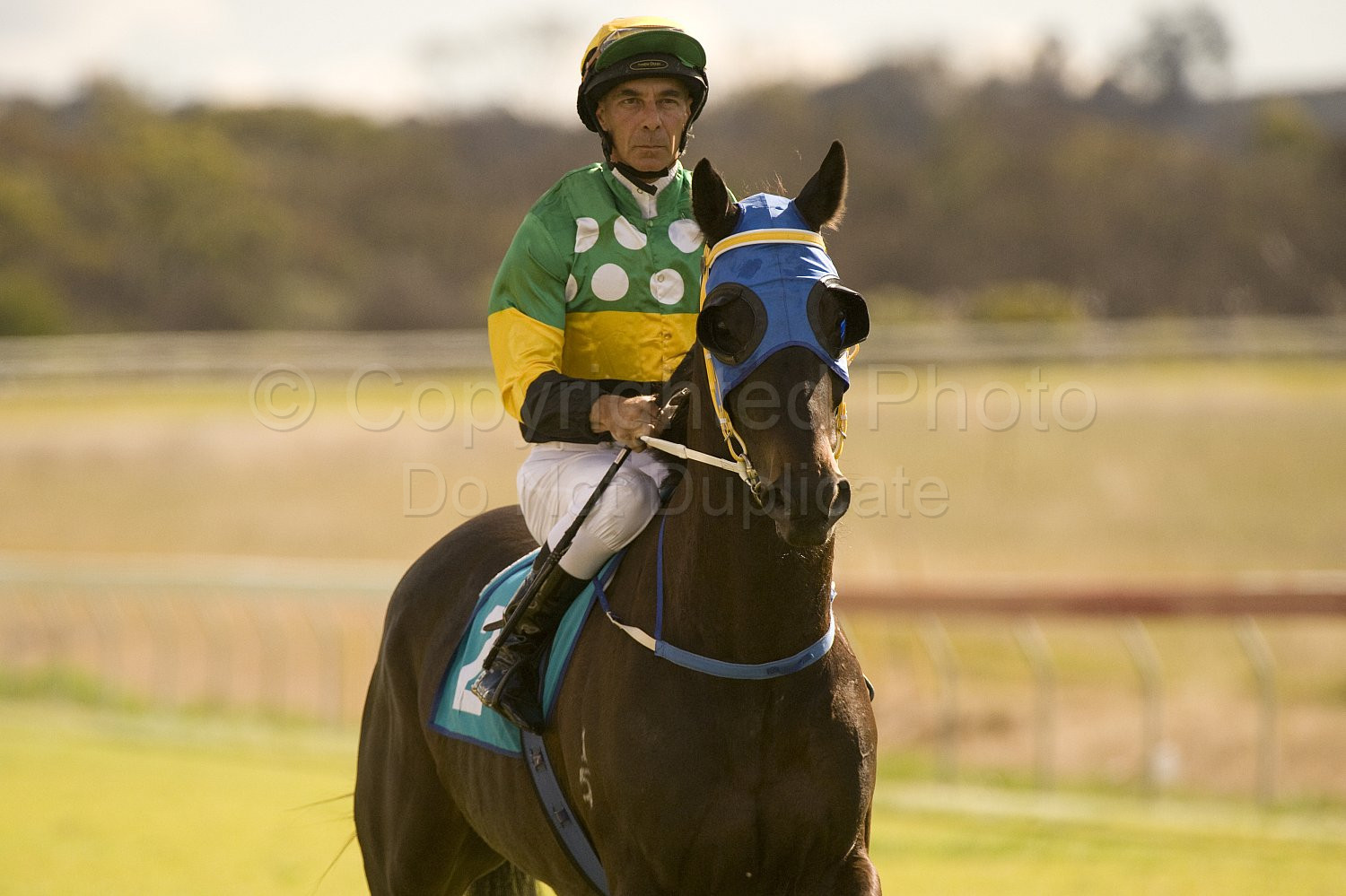 Western Australia, horse, horse racing, racing, york