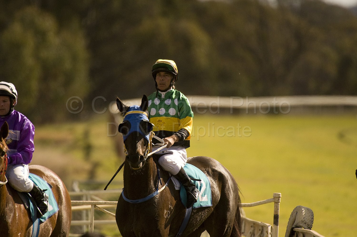 Western Australia, horse, horse racing, racing, york