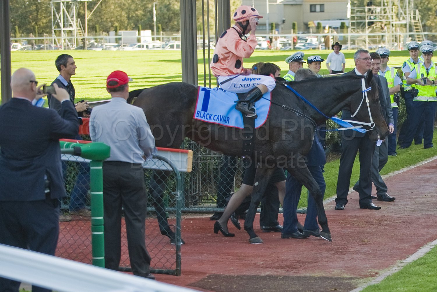 Black Caviar