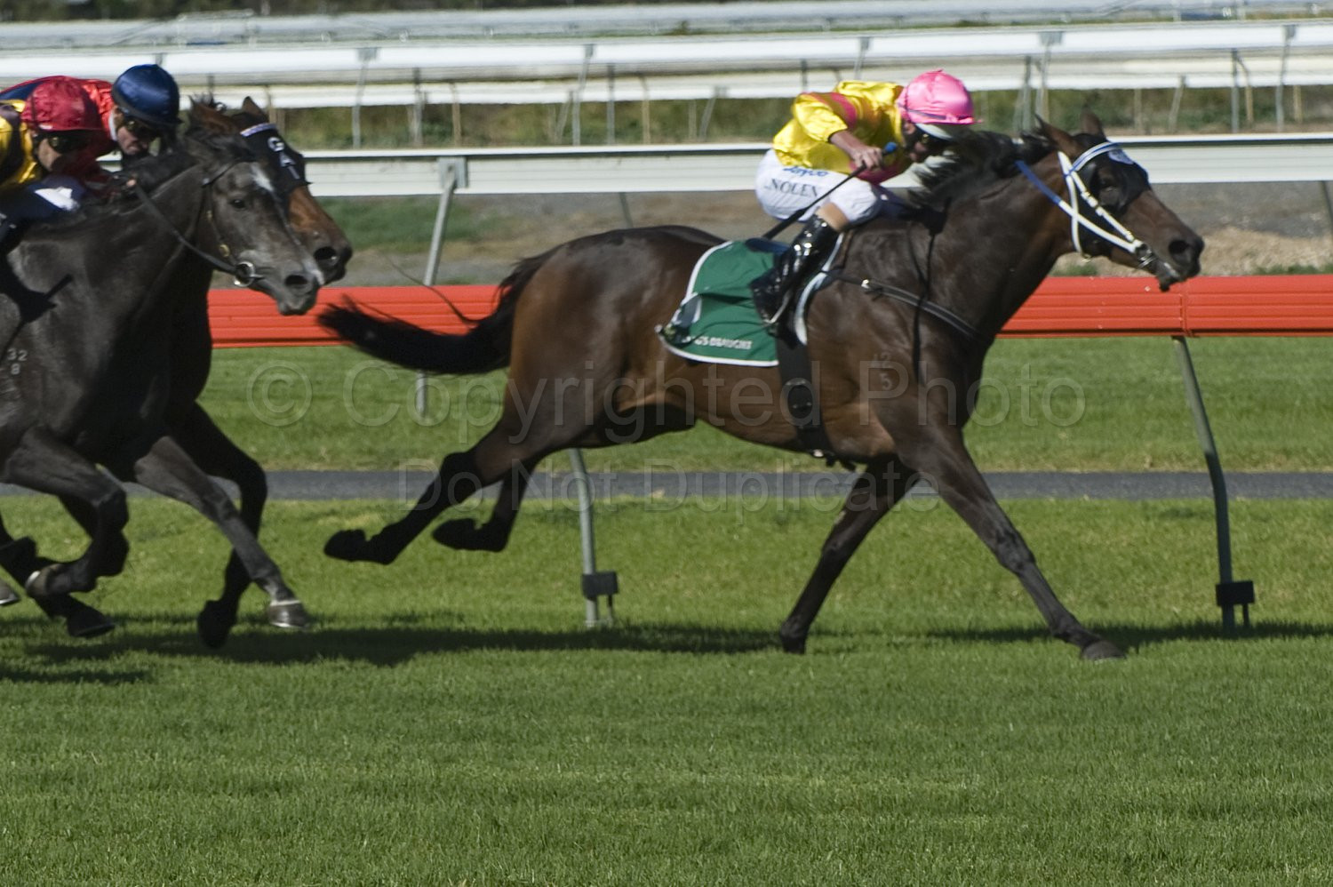 Morphettville Races