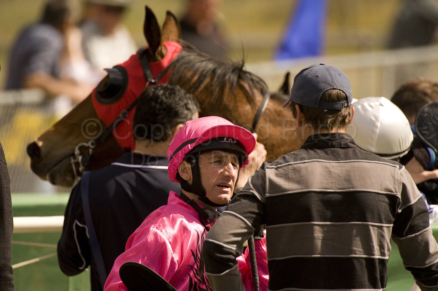 Western Australia, horse, horse racing, racing, york