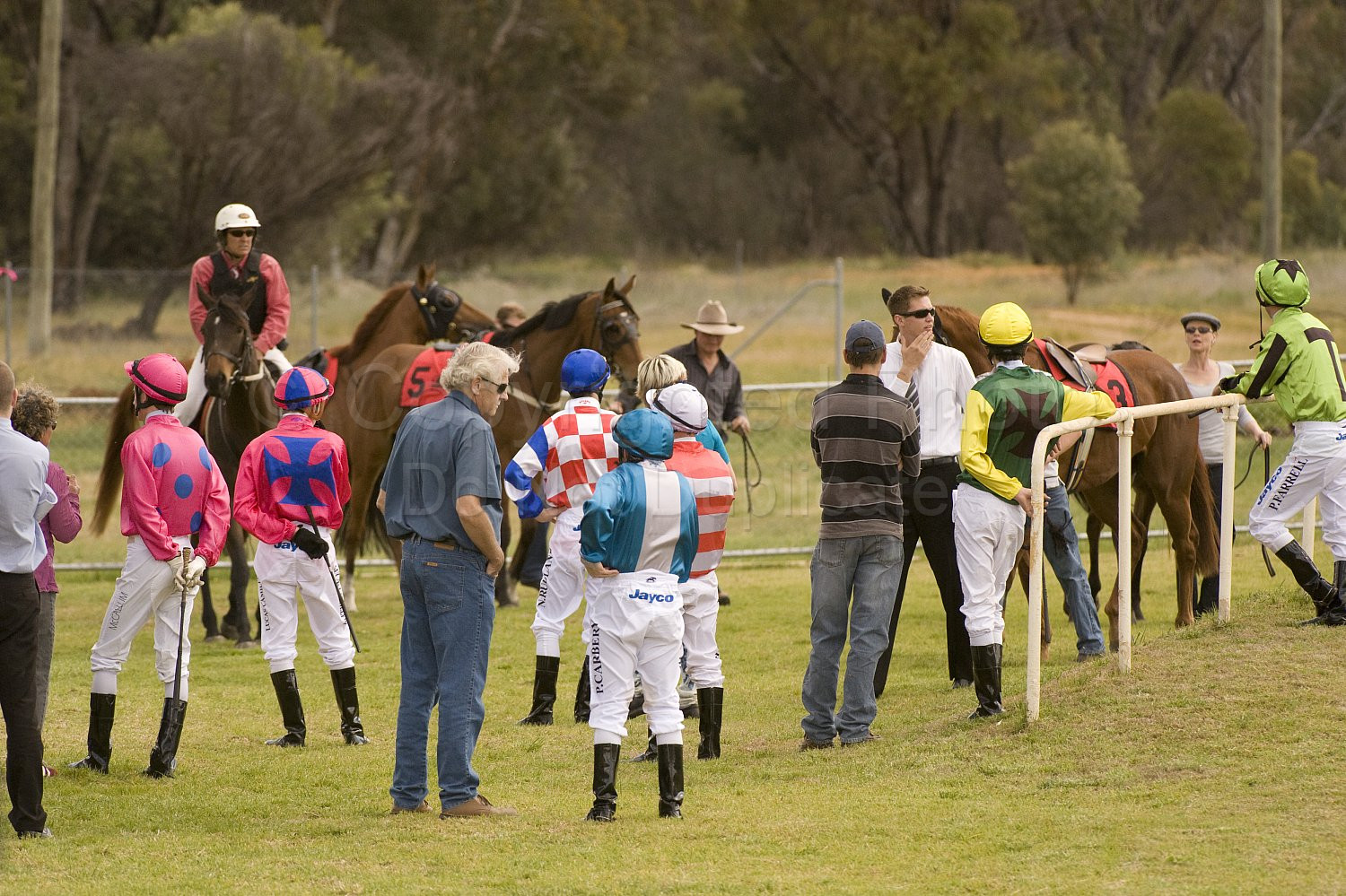 Western Australia, horse, horse racing, racing, york
