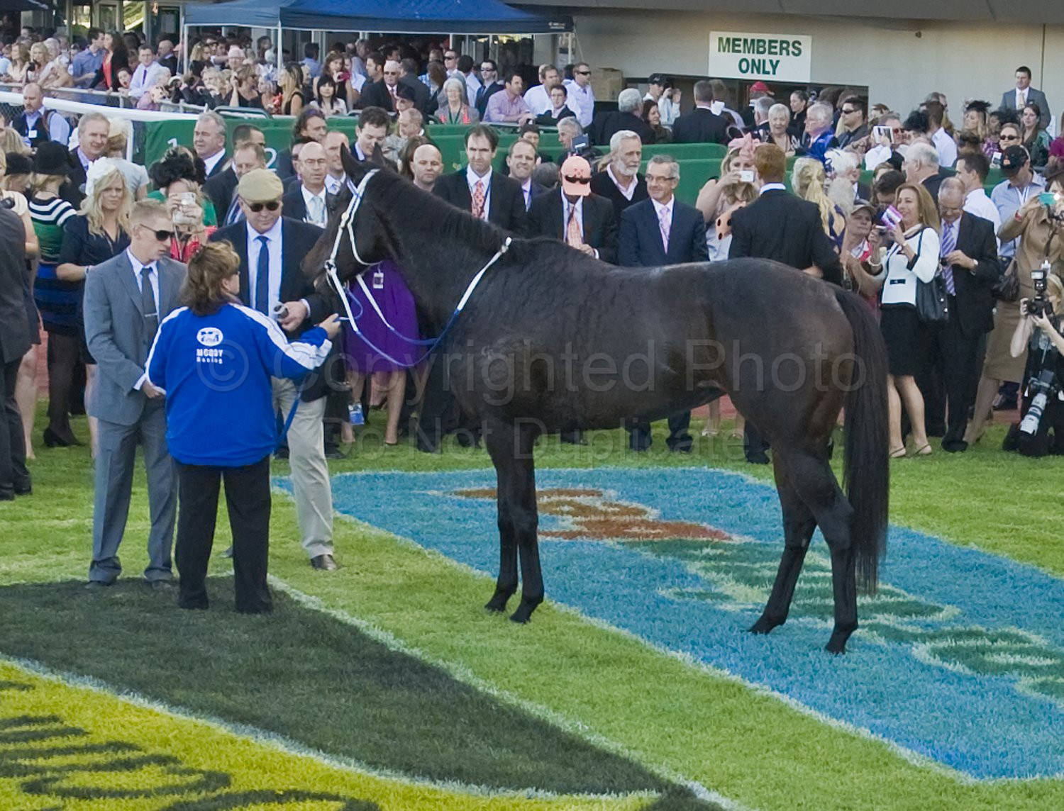 Black Caviar