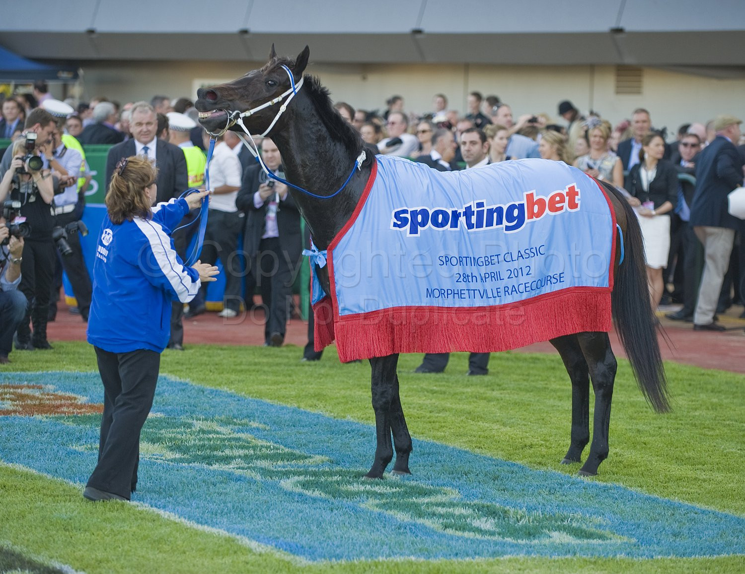 Black Caviar