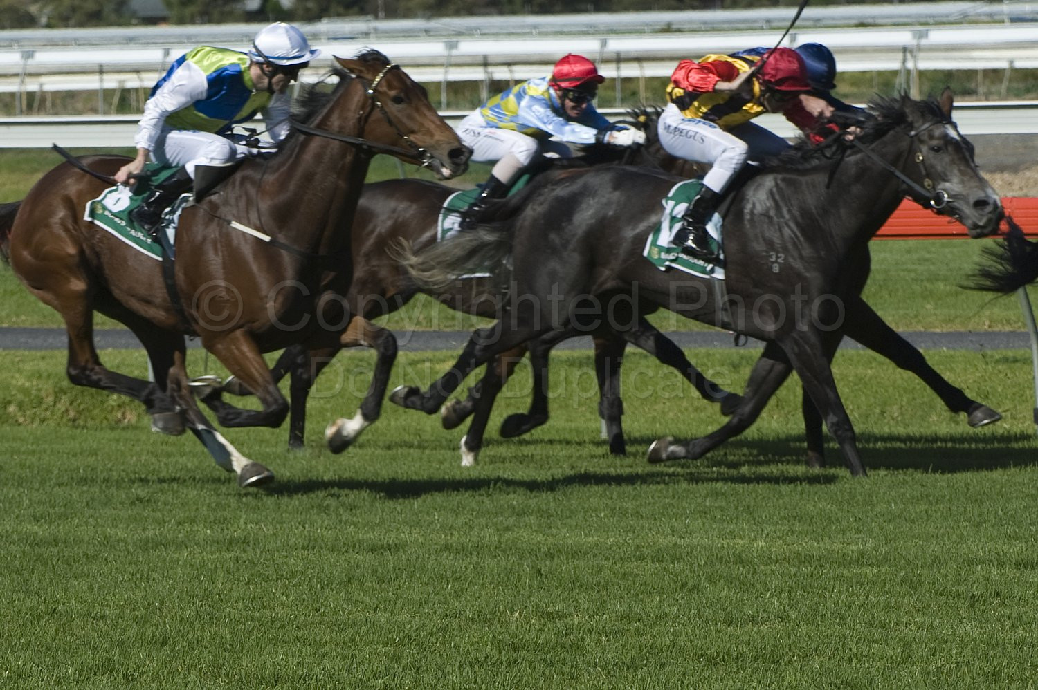 Morphettville Races