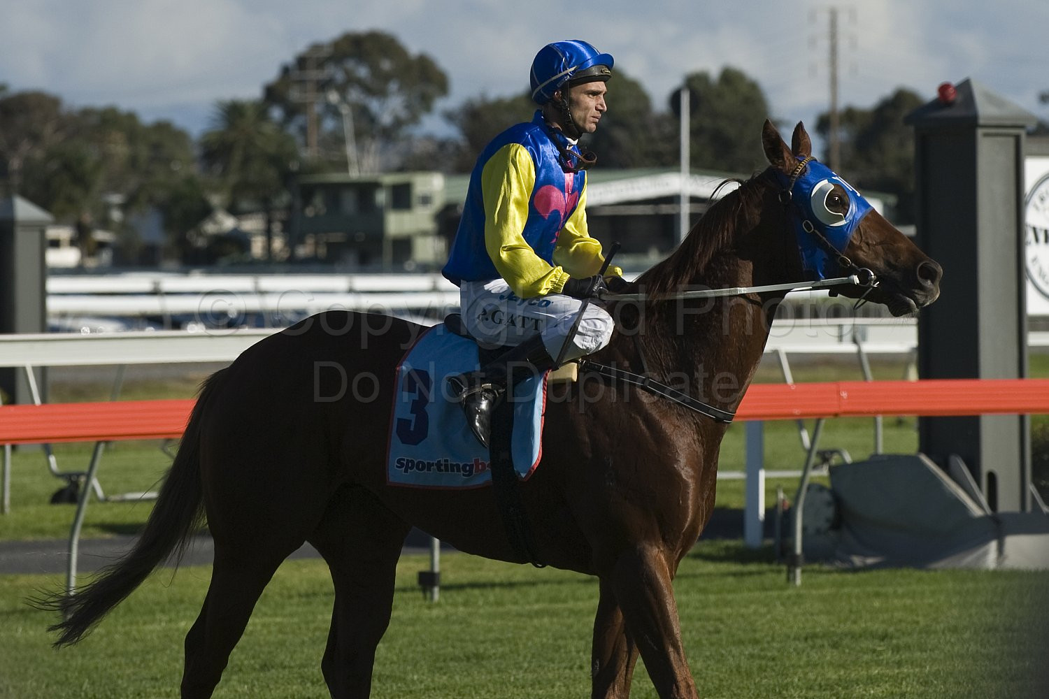 Morphettville Races