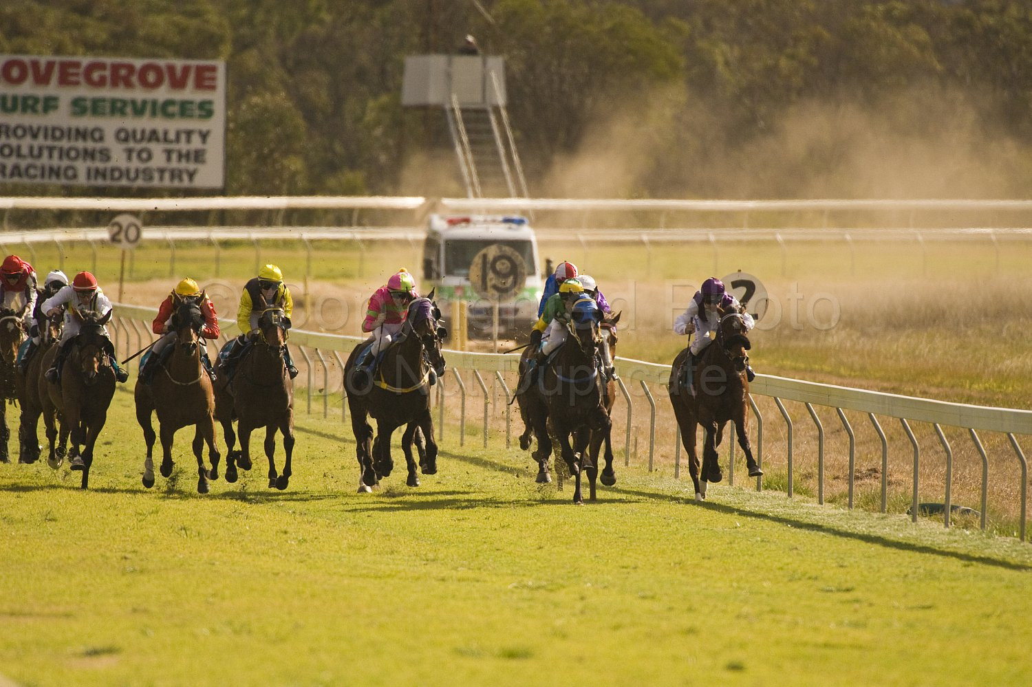 Western Australia, horse, horse racing, racing, york