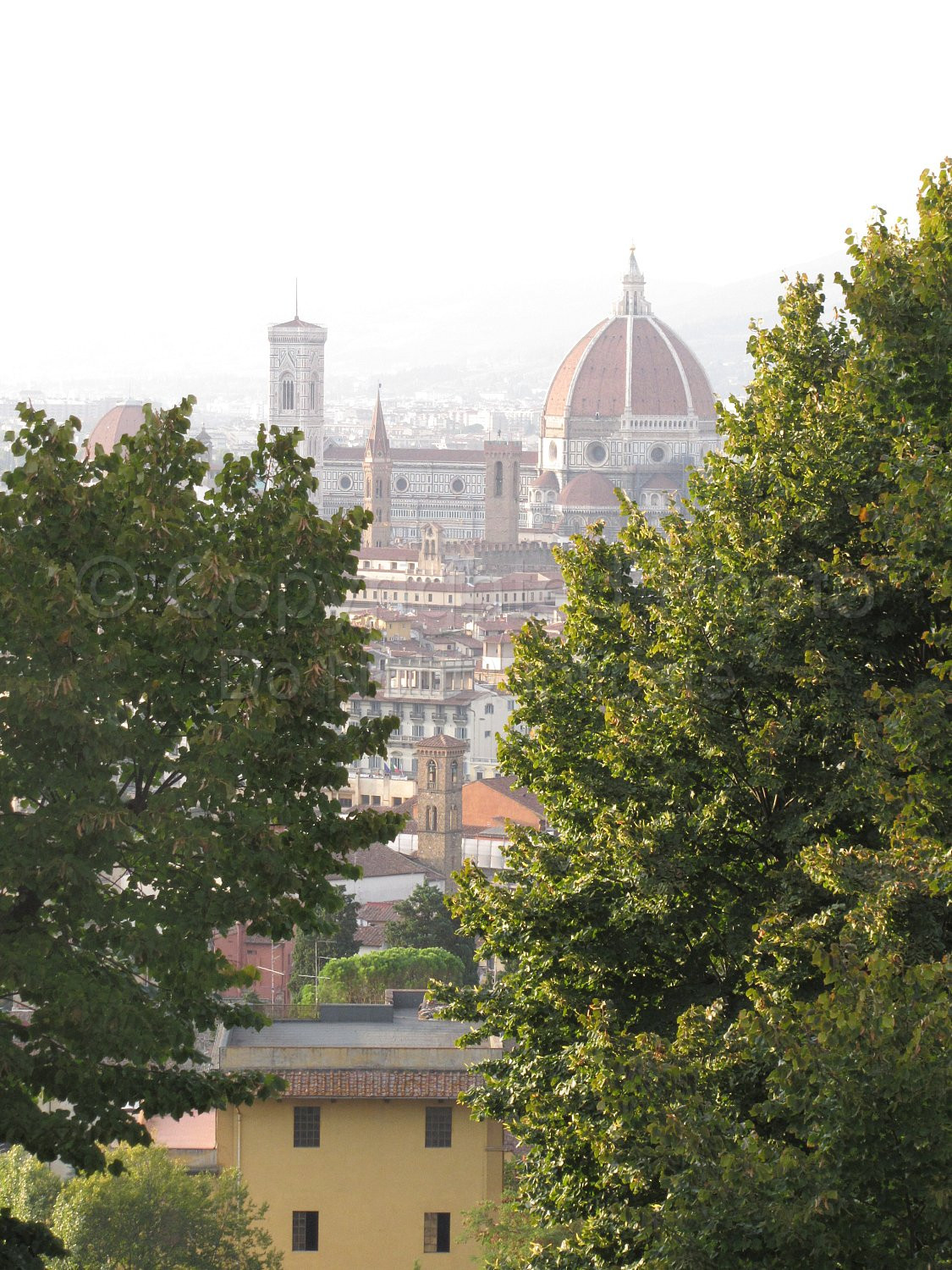 Florence