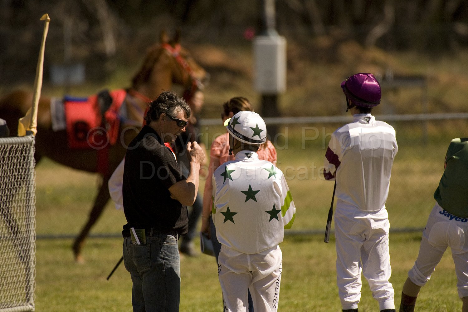 Western Australia, horse, horse racing, racing, york
