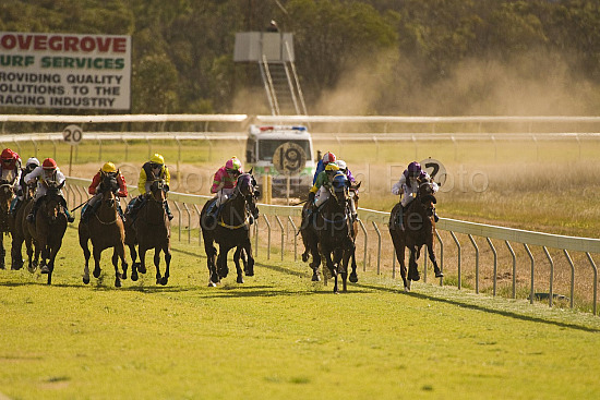 Western Australia, horse, horse racing, racing, york