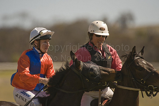Western Australia, horse, horse racing, racing, york
