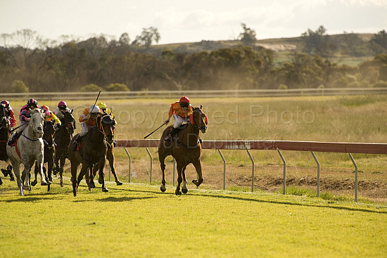 Western Australia, horse, horse racing, racing, york