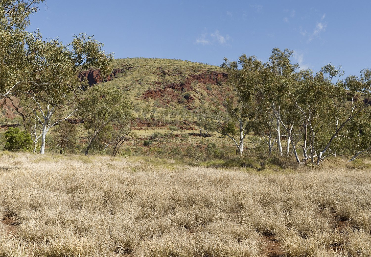 Pilbara Landscape