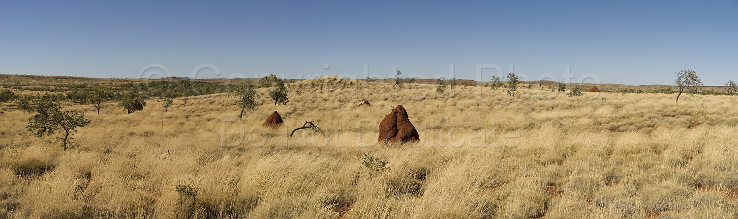 Pilbara Landscape
