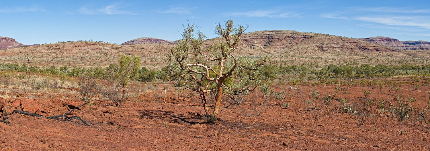 Pilbara Landscape