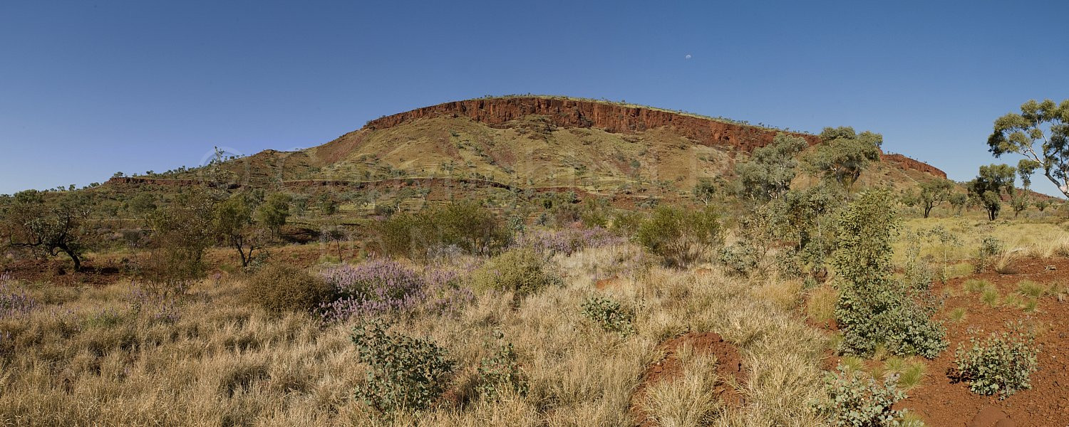 Pilbara Landscape
