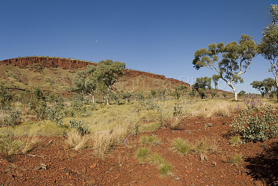 Pilbara Landscape