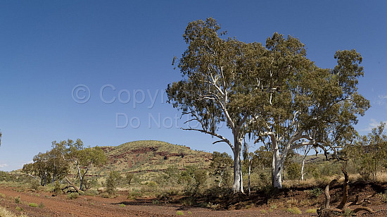 Pilbara Landscape