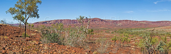 Pilbara Landscape