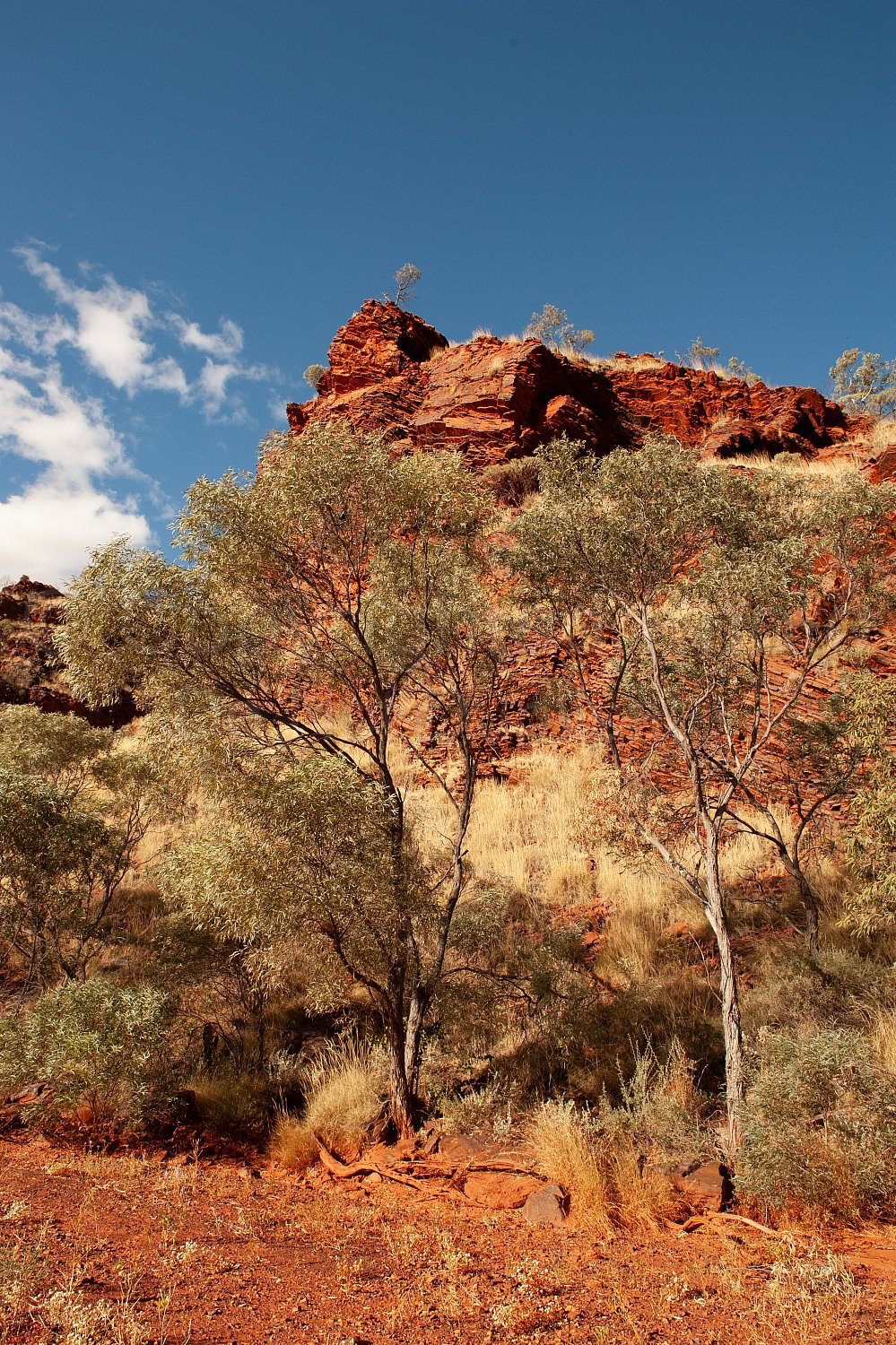 Pilbara Lanscape