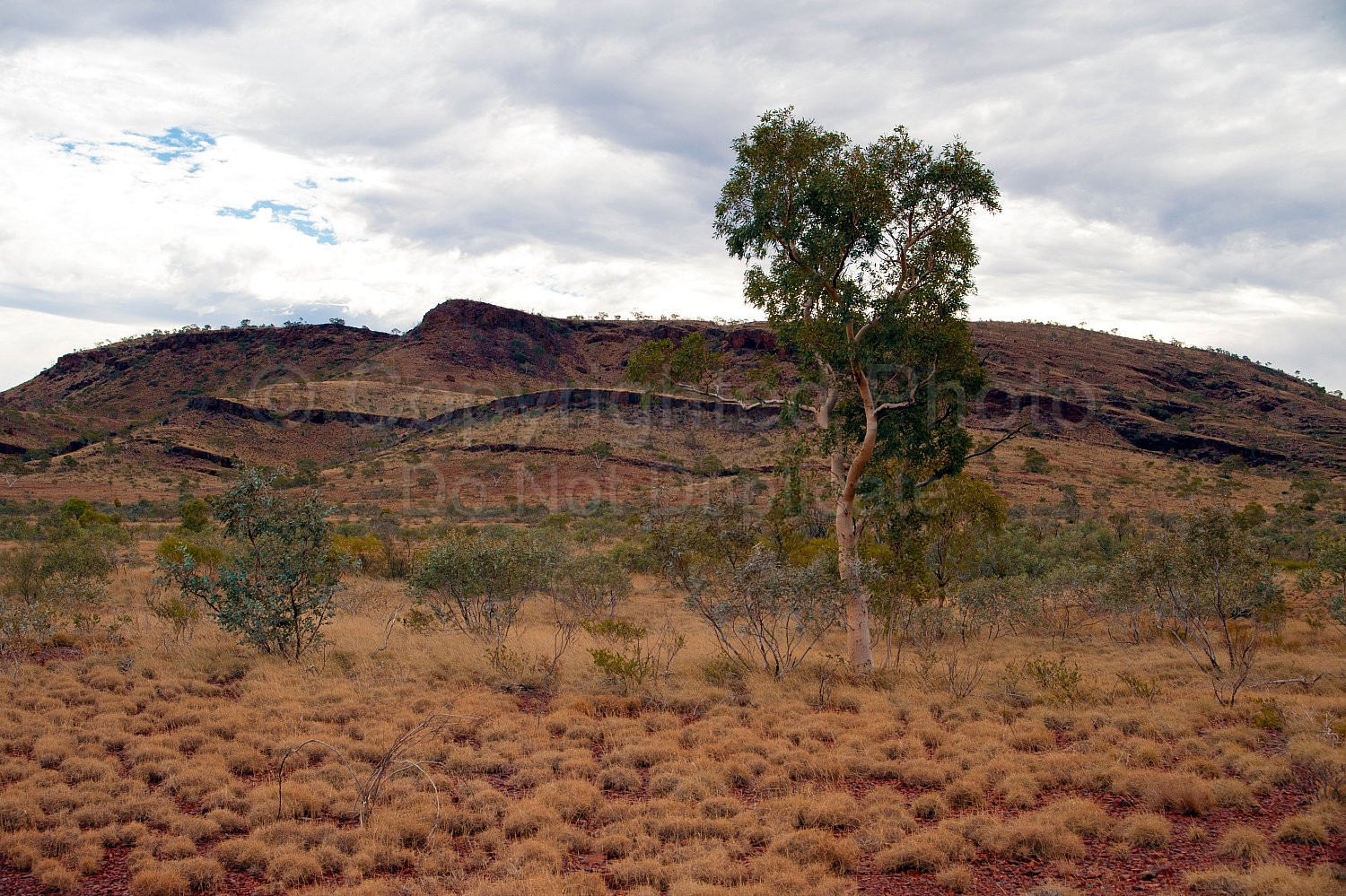 Pilbara Lanscape