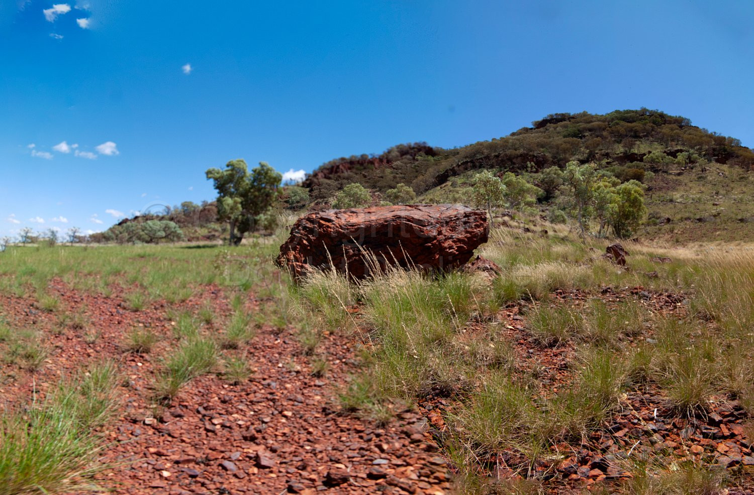 Pilbara Lanscape