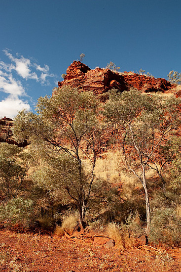 Pilbara Lanscape