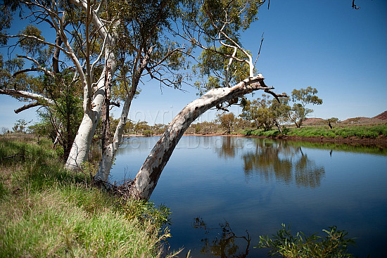 Pilbara Lanscape