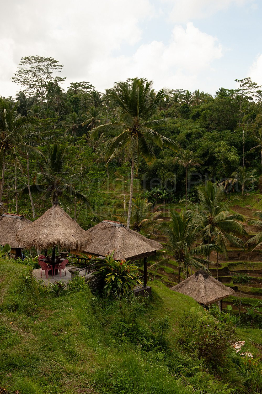 Bali