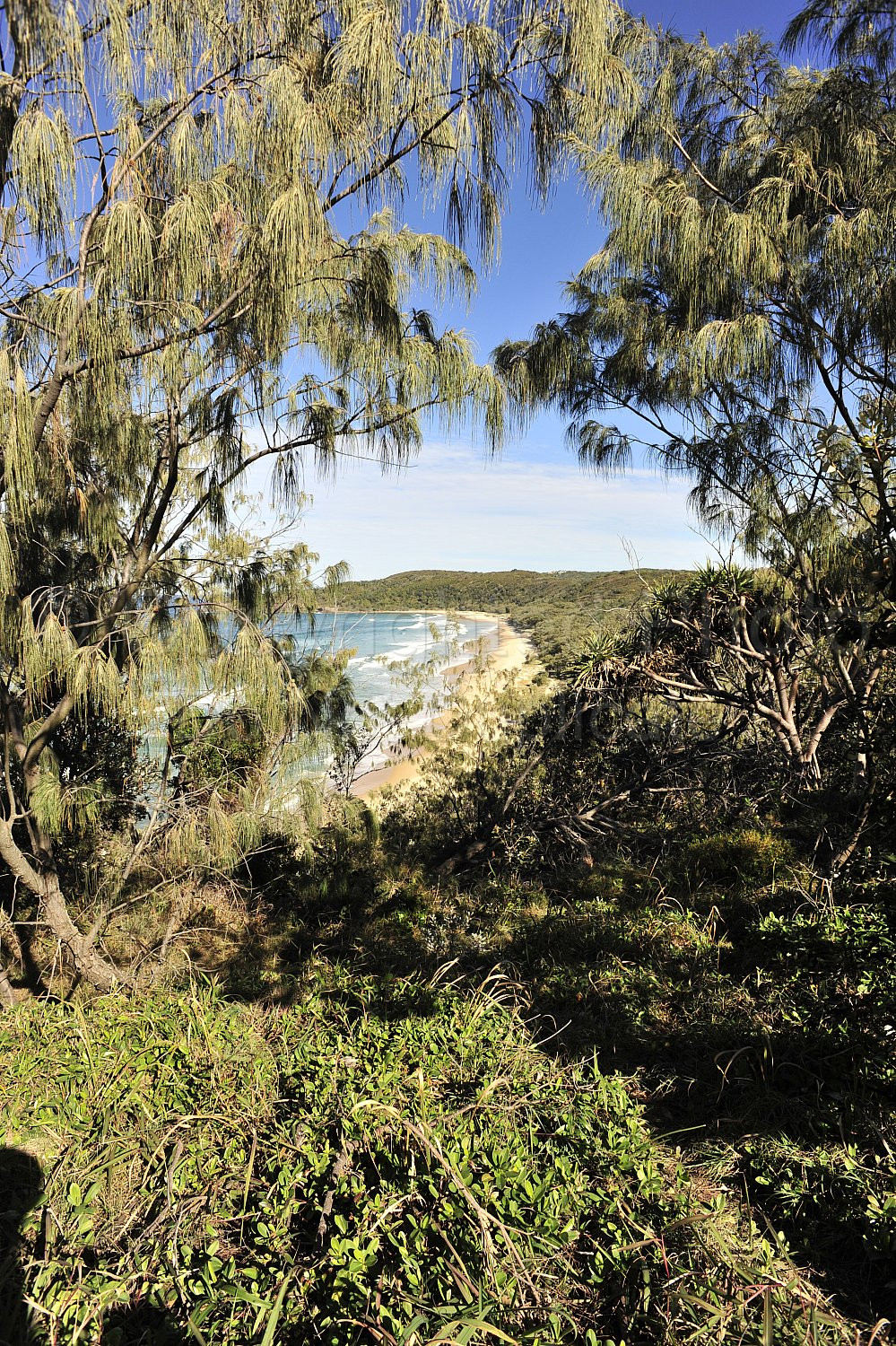 Noosa beach