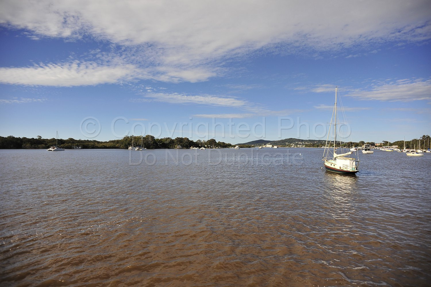 Noosa river