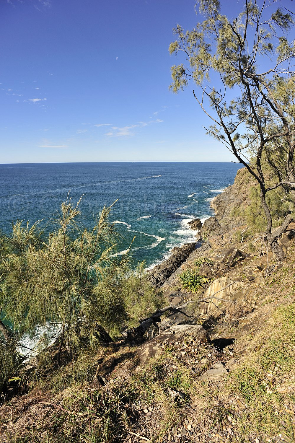 Noosa beach