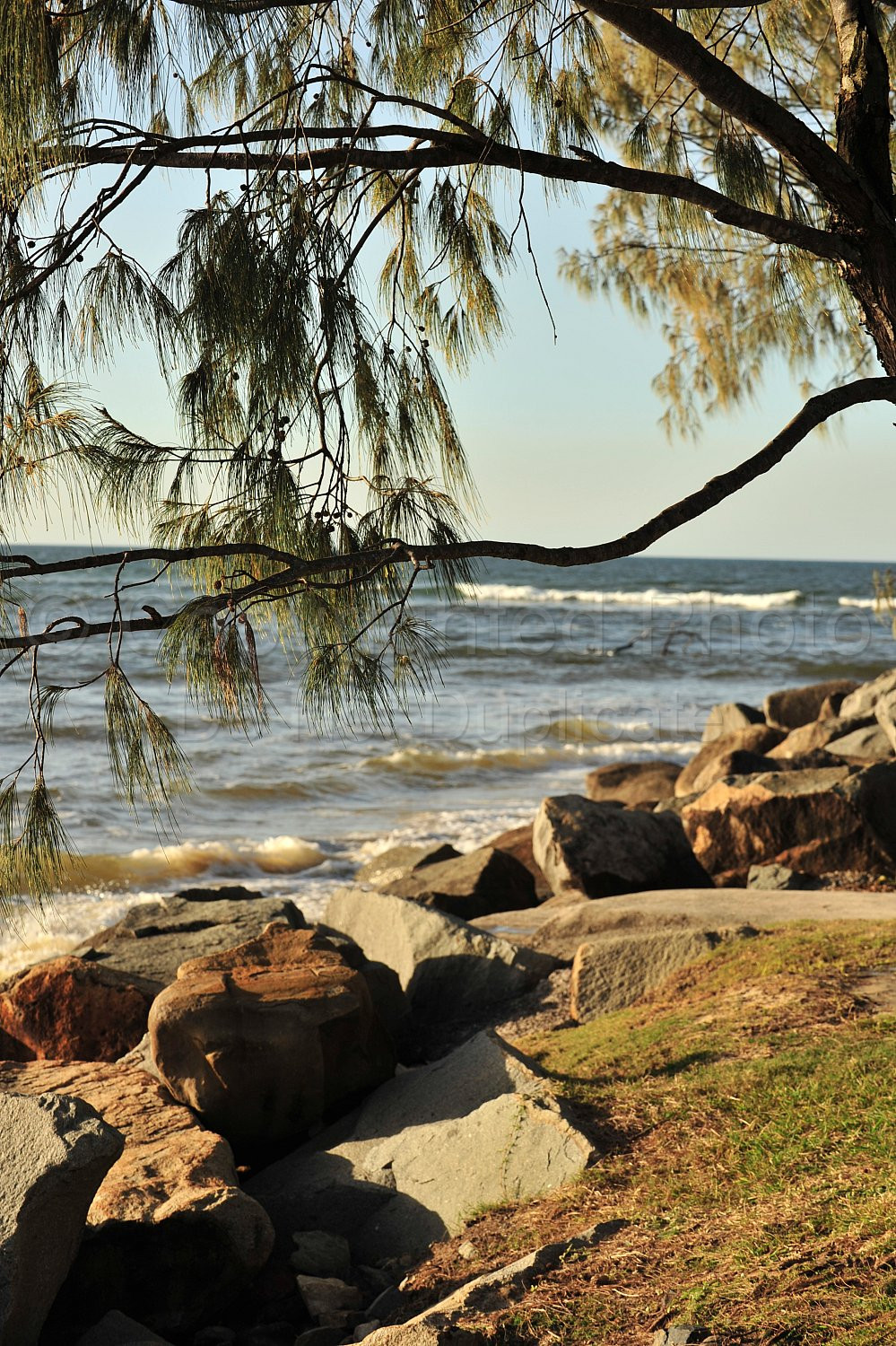 Noosa beach