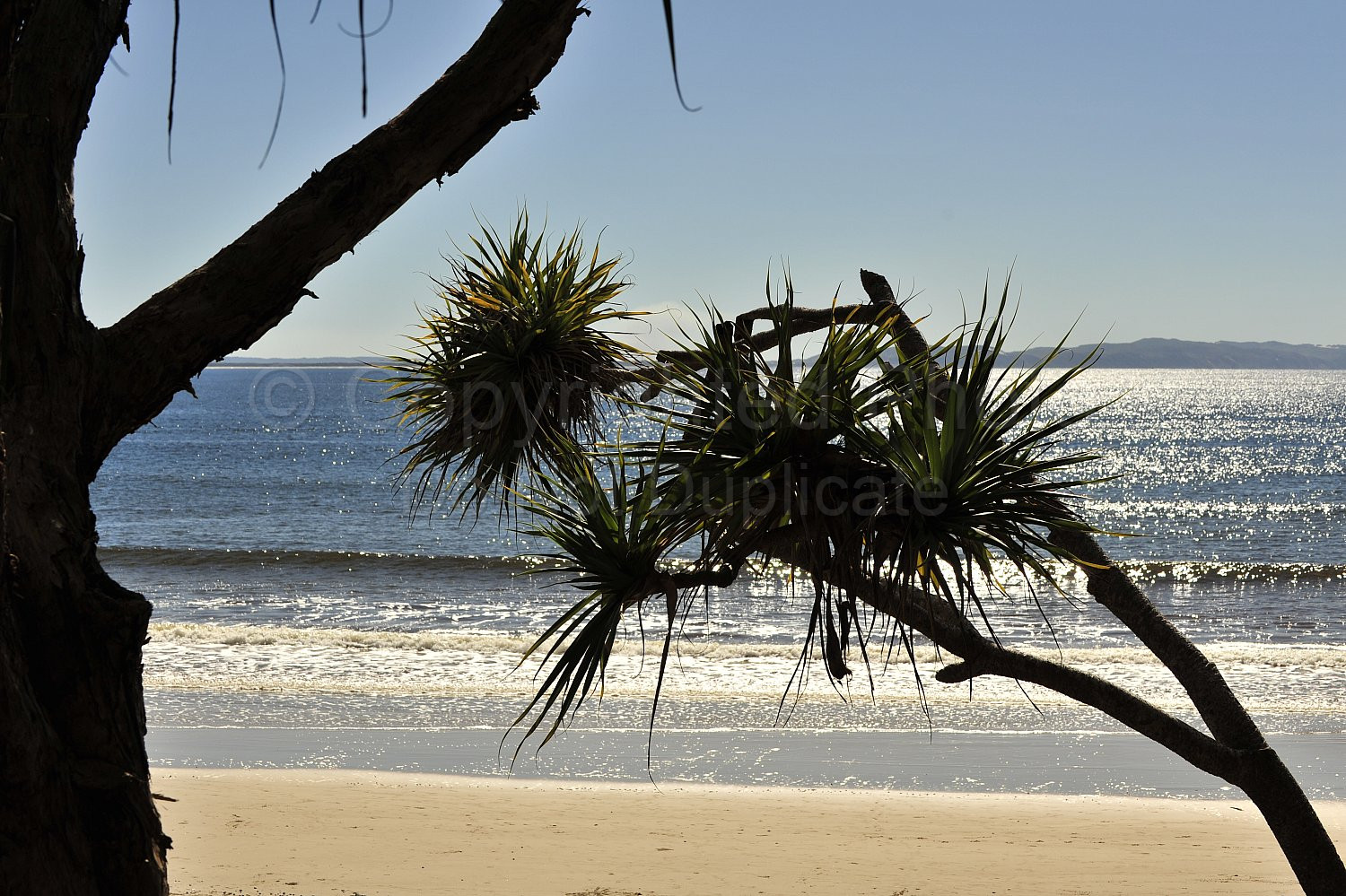 Noosa beach