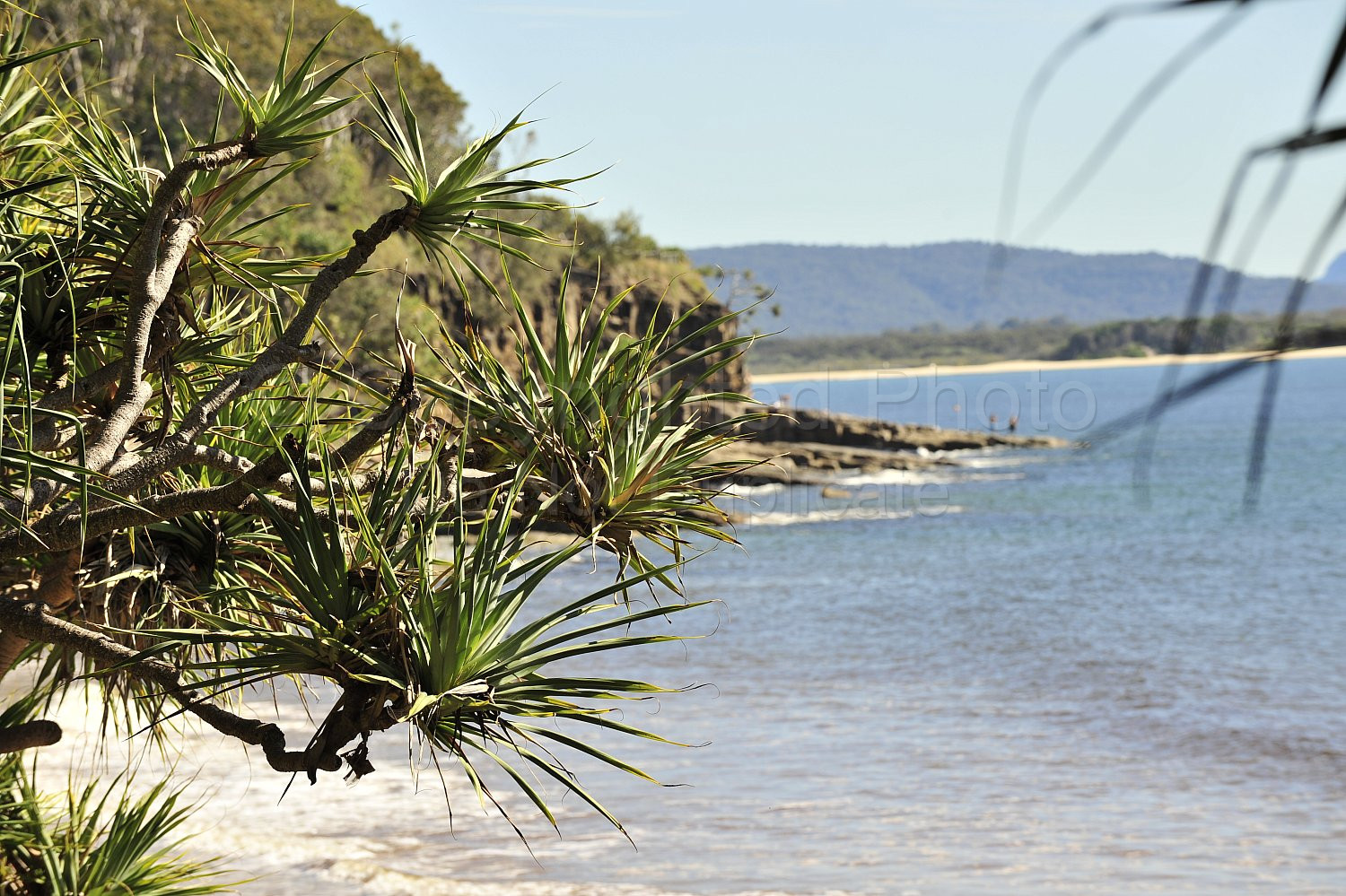 Noosa beach