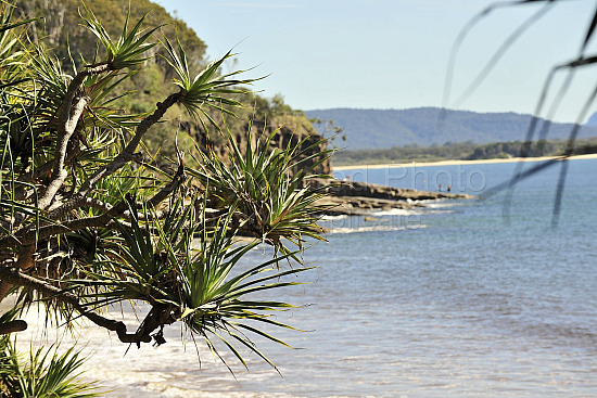 Noosa beach