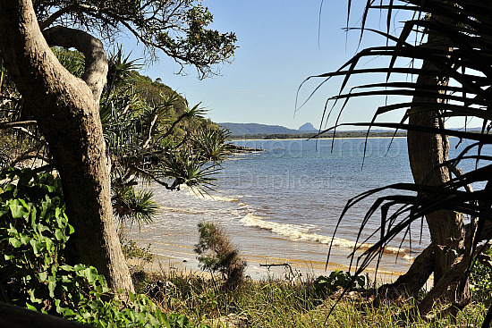 Noosa beach