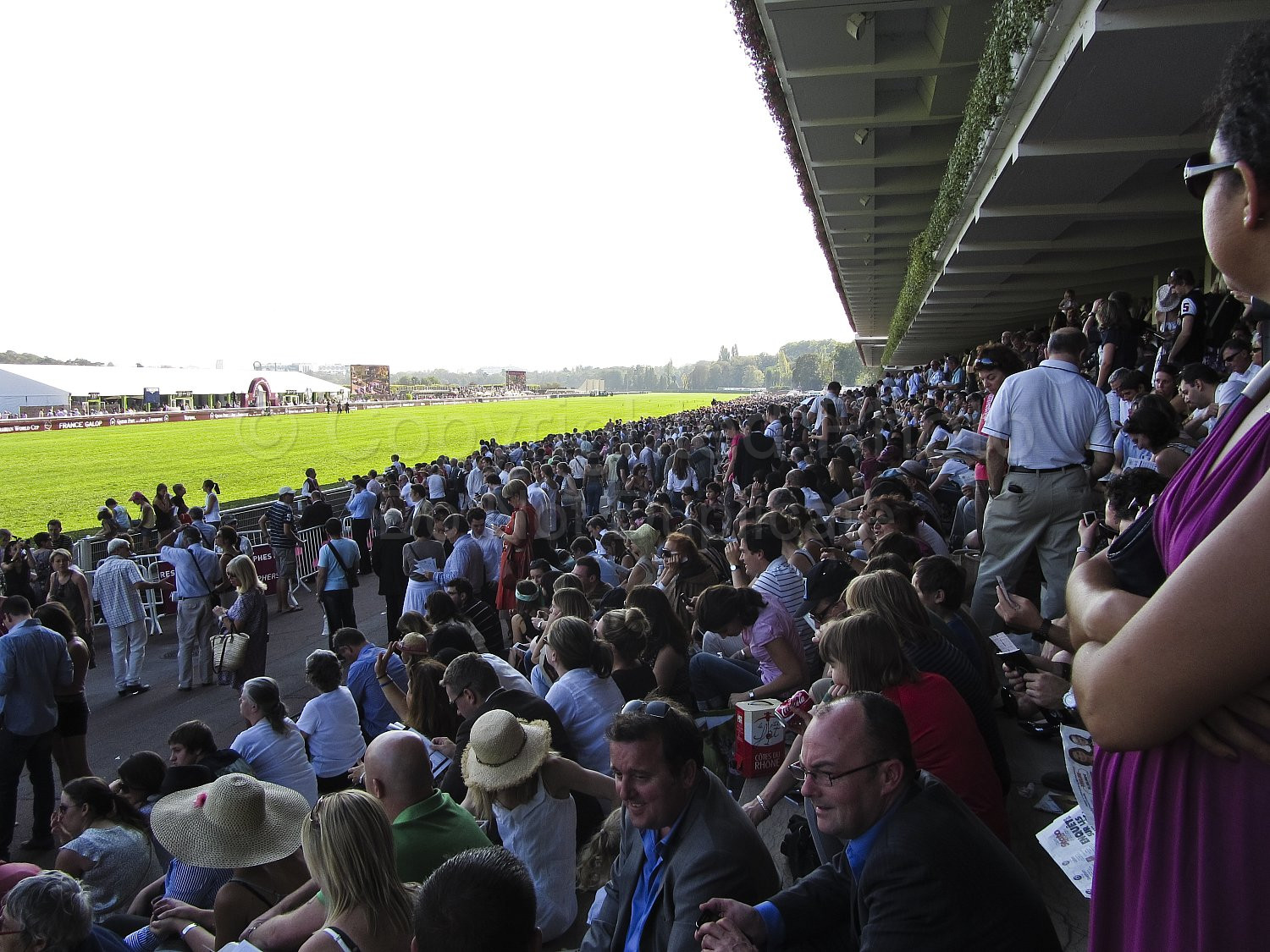 Longchamp Races
