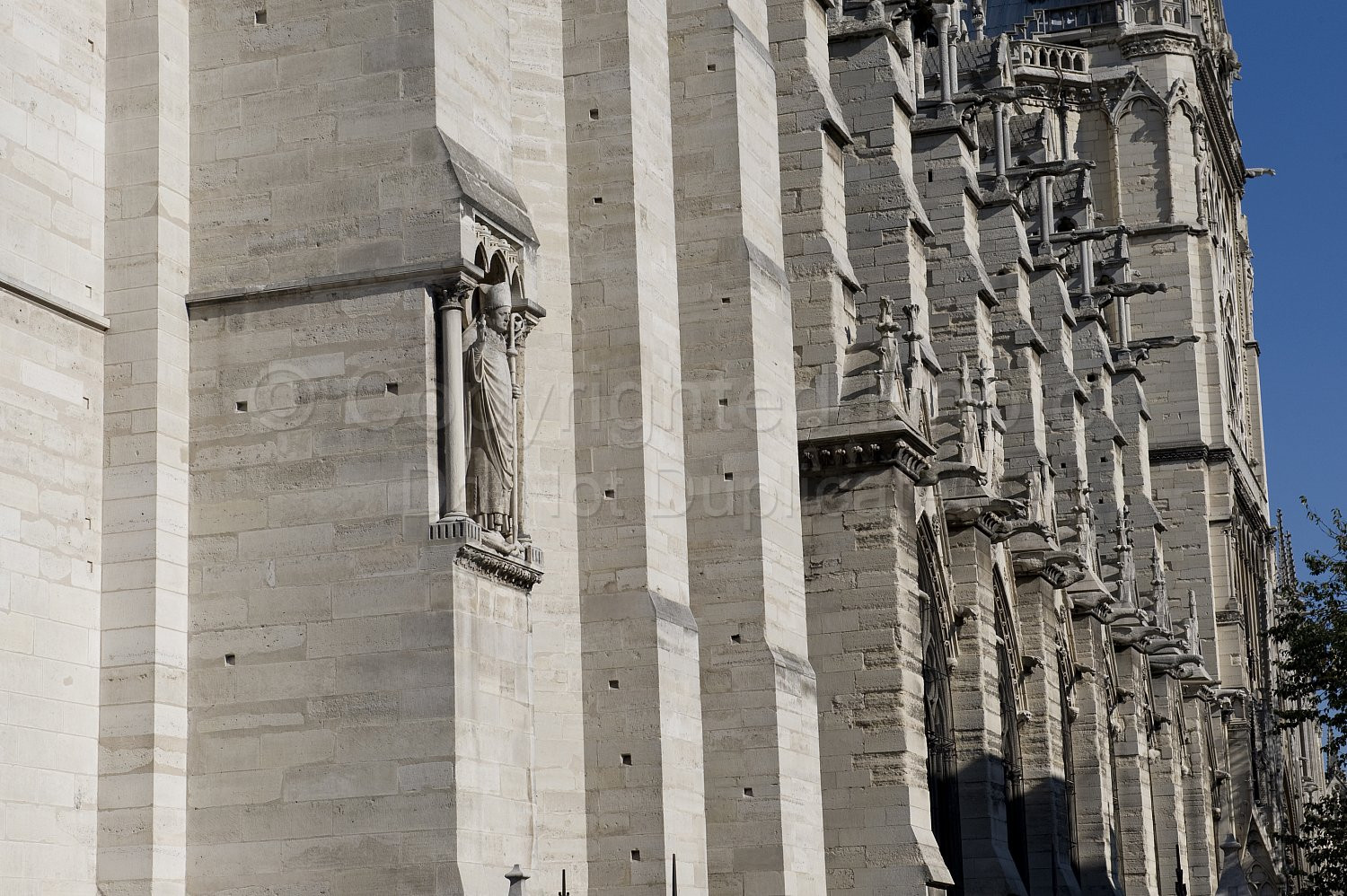 Paris Scenery