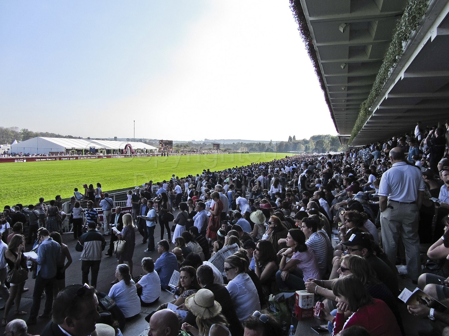 Longchamp Races
